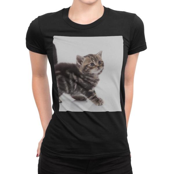 tVc fB[X  ubN  fUC S M L XL TVc eB[Vc T shirt  ʐ^@@L@˂ 005930