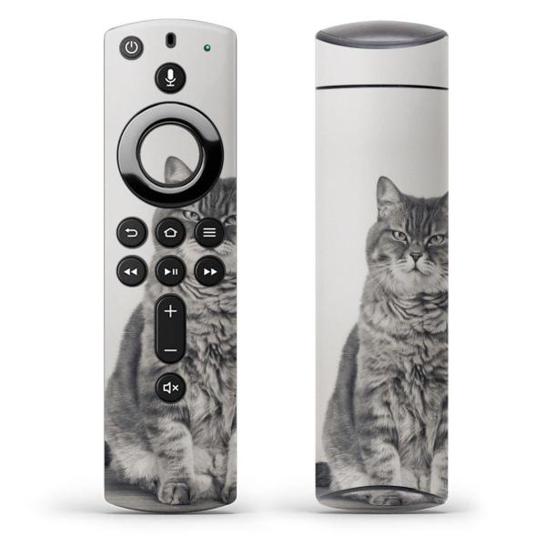 Fire TV Stick 2 t@C[ tv XeBbN RpXLV[  L@@ʐ^ 002901