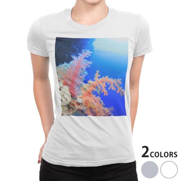 tVc fB[X  zCg O[ @DF fUC S M L XL TVc eB[Vc T shirt C@ʐ^@iF@i 003341