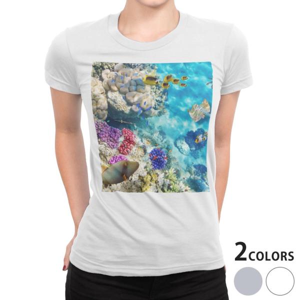 tVc fB[X  zCg O[ @DF fUC S M L XL TVc eB[Vc T shirt ʐ^@@C@X 008923