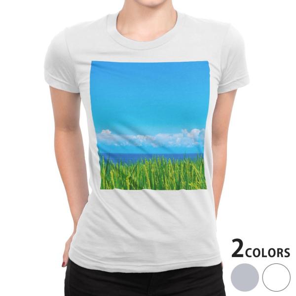 tVc fB[X  zCg O[ @DF fUC S M L XL TVc eB[Vc T shirt i@@C@ʐ^ 009748