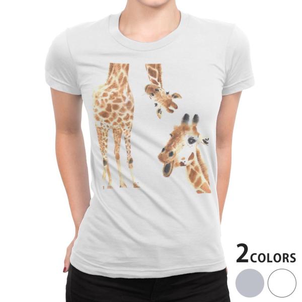 tVc fB[X  zCg O[ @DF fUC S M L XL TVc eB[Vc T shirt @@Aj} 014166