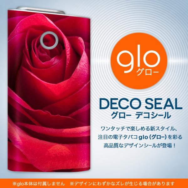 glo O[ OE pXLV[ \2Zbg Jo[ P[X ی tB XebJ[ fR ANZT[ dq΂ ^oR  KN@ 000825