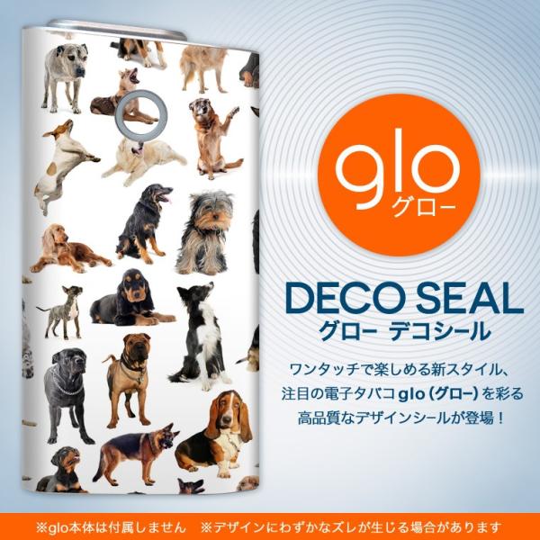 glo O[ OE pXLV[ \2Zbg Jo[ P[X ی tB XebJ[ fR ANZT[ dq΂ ^oR  @ 000911