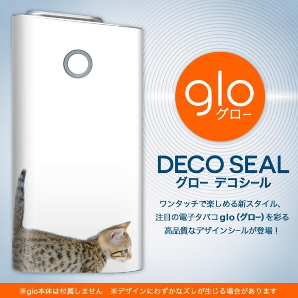 glo O[ OE pXLV[ \2Zbg Jo[ P[X ی tB XebJ[ fR ANZT[ dq΂ ^oR  lR@qL 000915