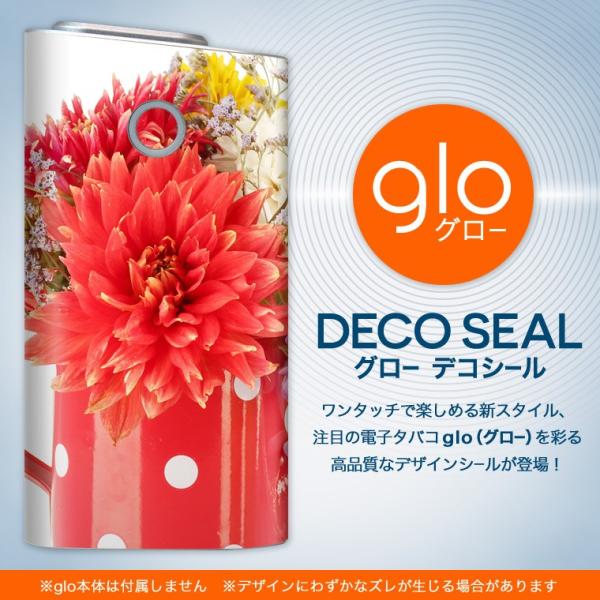 glo O[ OE pXLV[ \2Zbg Jo[ P[X ی tB XebJ[ fR ANZT[ dq΂ ^oR  ԁ@傤 000954