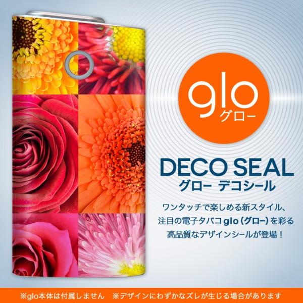 glo O[ OE pXLV[ \2Zbg Jo[ P[X ی tB XebJ[ fR ANZT[ dq΂ ^oR  ԁ@sN 001013