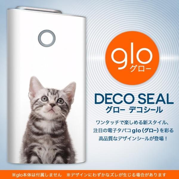 glo O[ pXLV[ Jo[ P[X ی tB XebJ[ fR ANZT[ dq΂ L@AJV[gwA 001070