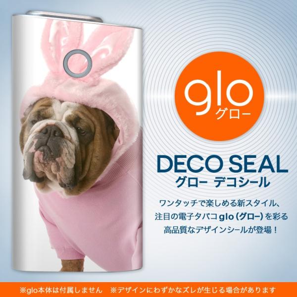 glo O[ OE pXLV[ \2Zbg Jo[ P[X ی tB XebJ[ fR ANZT[ dq΂ ^oR  @ 001083