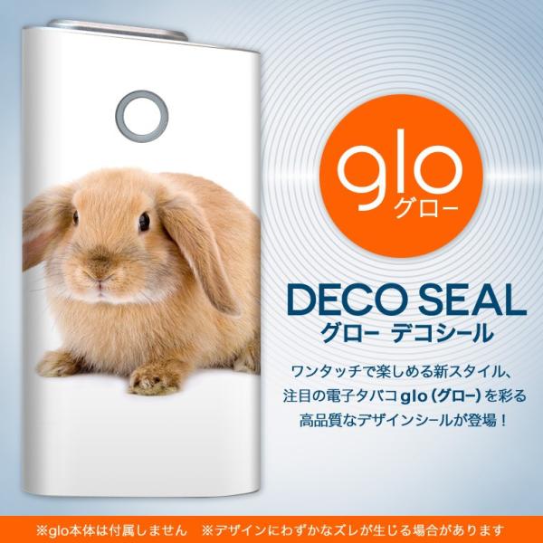 glo O[ OE pXLV[ \2Zbg Jo[ P[X ی tB XebJ[ fR ANZT[ dq΂ ^oR  @ 001112