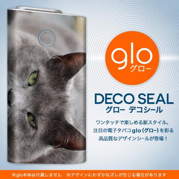 glo O[ OE pXLV[ \2Zbg Jo[ P[X ی tB XebJ[ fR ANZT[ dq΂ ^oR  L@@ʐ^ 002650