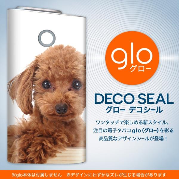 glo O[ OE pXLV[ \2Zbg Jo[ P[X ی tB XebJ[ fR ANZT[ dq΂ ^oR  @@ʐ^ 002769