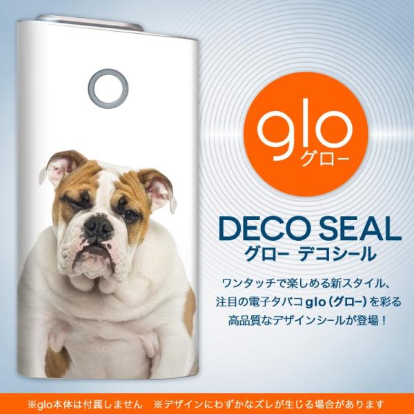 glo O[ OE pXLV[ \2Zbg Jo[ P[X ی tB XebJ[ fR ANZT[ dq΂ ^oR  @@ʐ^ 002883