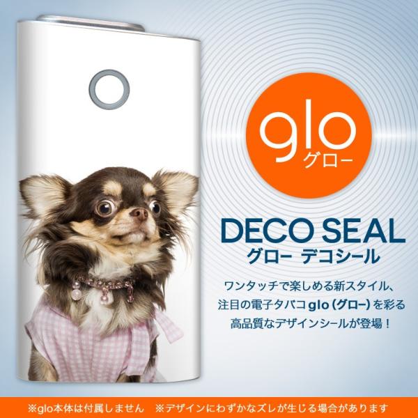 glo O[ OE pXLV[ \2Zbg Jo[ P[X ی tB XebJ[ fR ANZT[ dq΂ ^oR  @@ʐ^ 002884