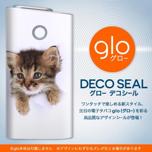 glo O[ OE pXLV[ \2Zbg Jo[ P[X ی tB XebJ[ fR ANZT[ dq΂ ^oR  L@@ʐ^ 002892