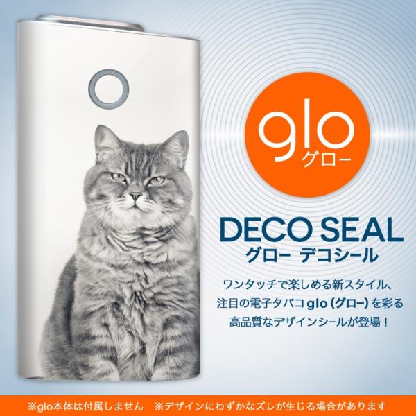 glo O[ OE pXLV[ \2Zbg Jo[ P[X ی tB XebJ[ fR ANZT[ dq΂ ^oR  L@@ʐ^ 002901