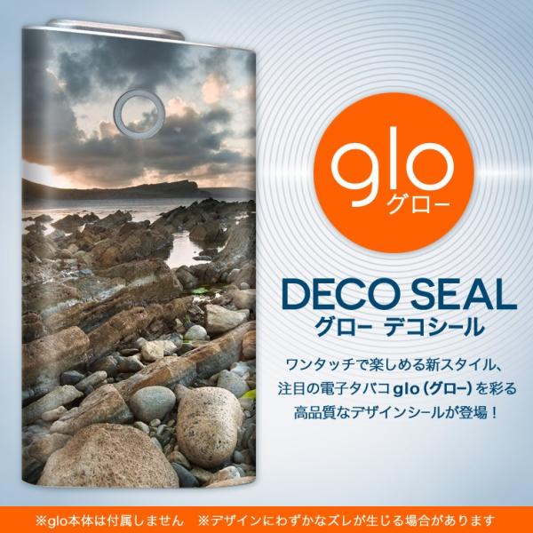 glo O[ pXLV[ Jo[ P[X ی tB XebJ[ fR ANZT[ dq΂ O@ʐ^@iF@i 003281