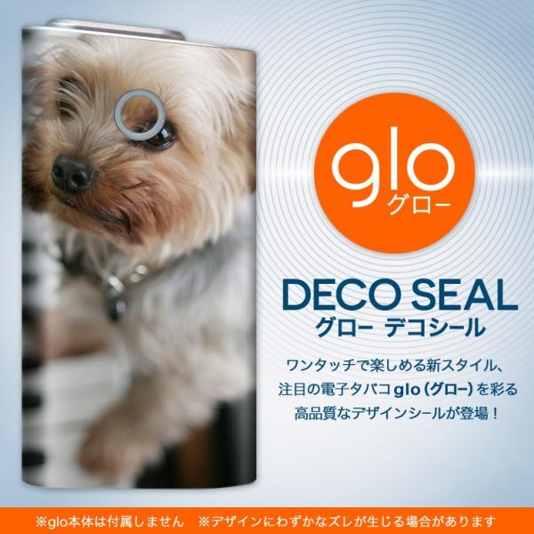 glo O[ pXLV[ Jo[ P[X ی tB XebJ[ fR ANZT[ dq΂ @ʐ^@sAm 004565