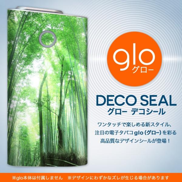 glo O[ pXLV[ Jo[ P[X ی tB XebJ[ fR ANZT[ dq΂ iF@|с@ʐ^ 004996