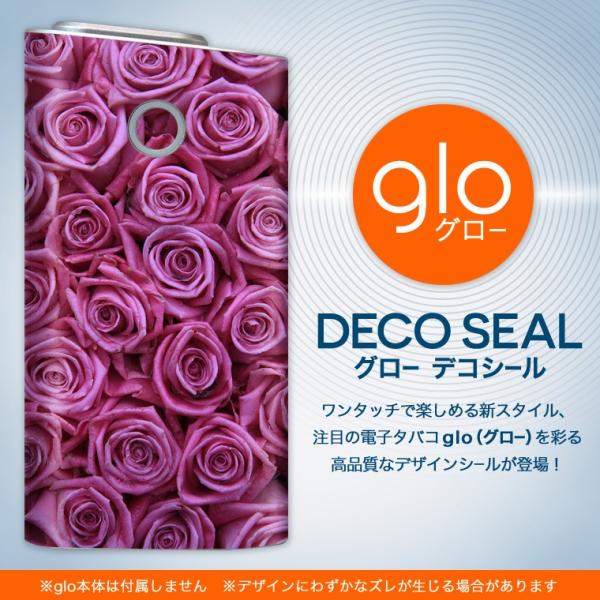 glo O[ OE pXLV[ \2Zbg Jo[ P[X ی tB XebJ[ fR ANZT[ dq΂ ^oR  KN@@ʐ^ 005129