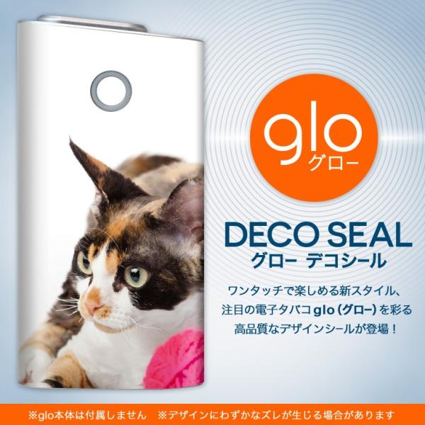 glo O[ pXLV[ Jo[ P[X ی tB XebJ[ fR ANZT[ dq΂ ʐ^@@L@˂ 005939