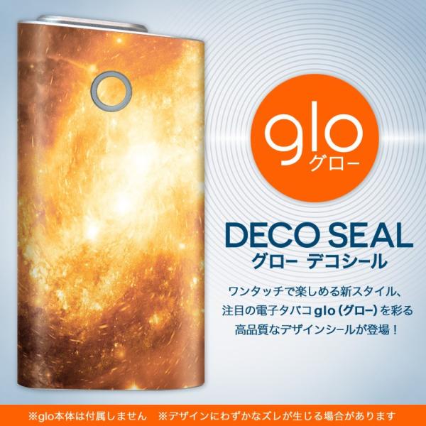 glo O[ OE pXLV[ \2Zbg Jo[ P[X ی tB XebJ[ fR ANZT[ dq΂ ^oR  F@ 006435