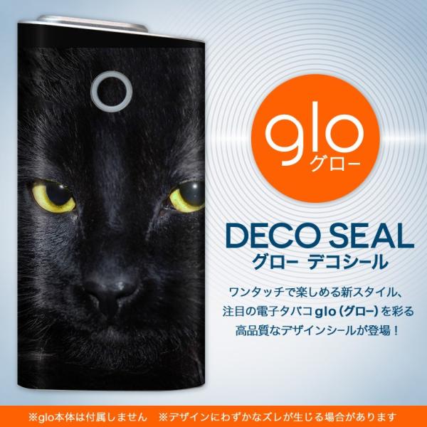 glo O[ OE pXLV[ \2Zbg Jo[ P[X ی tB XebJ[ fR ANZT[ dq΂ ^oR  ʐ^@L@˂ 006447