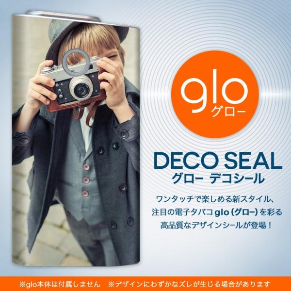 glo O[ pXLV[ Jo[ P[X ی tB XebJ[ fR ANZT[ dq΂ ʐ^@l@J 006456