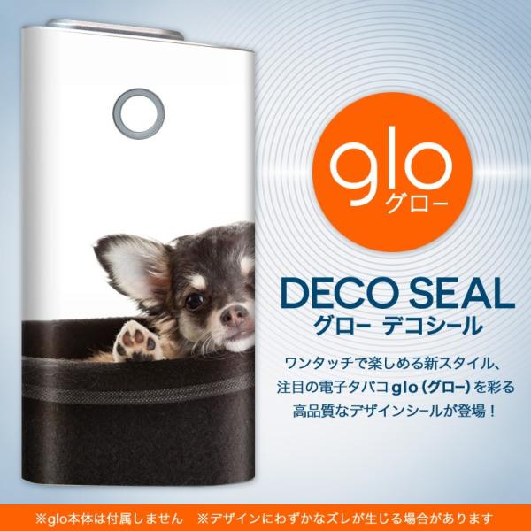 glo O[ OE pXLV[ \2Zbg Jo[ P[X ی tB XebJ[ fR ANZT[ dq΂ ^oR  ʐ^@@ 006481