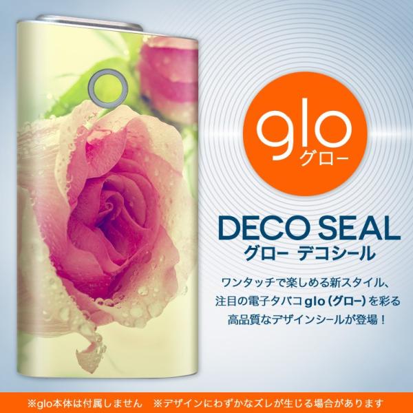 glo O[ pXLV[ Jo[ P[X ی tB XebJ[ fR ANZT[ dq΂ ʐ^@ԁ@t[ 006595