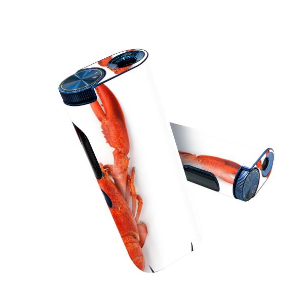 glo hyper pro �p �f�U�C���X�L���V�[�� ���ʂQ�� �V�ʂR�� �Z�b�g 360°�J�o�[ �P�[�X �ی� �A�N�Z�T���[ 006638 �U���K�j�@������