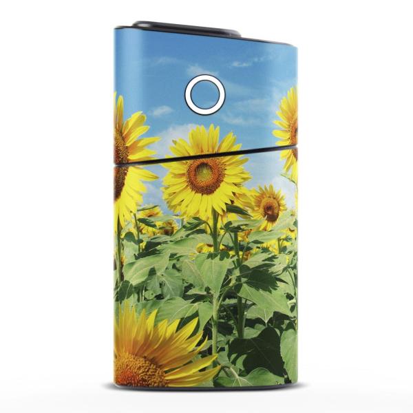 glo series2 V[Y2 O[ OE pXLV[ S V  360°tZbg Jo[ P[X ی  ԁ@Ђ܂@ʐ^ 002501