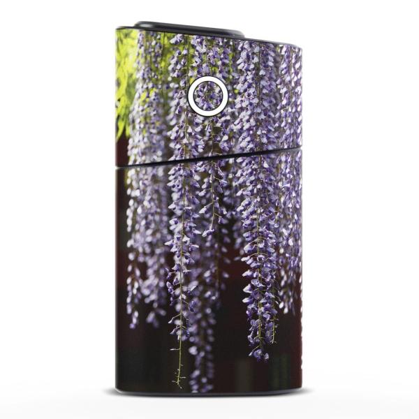 glo series2 V[Y2 O[ OE pXLV[ S V  360°tZbg Jo[ P[X ی  ԁ@ʐ^@iF@i 003257