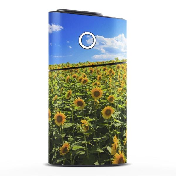 glo series2 �V���[�Y2 �O���[ �O���E ��p�X�L���V�[�� �S�� �V�� ��� 360°�t���Z�b�g �J�o�[ �P�[�X �ی�  �ʐ^�@�ԁ@�t�����[�@�������@�Ђ܂�� 007936