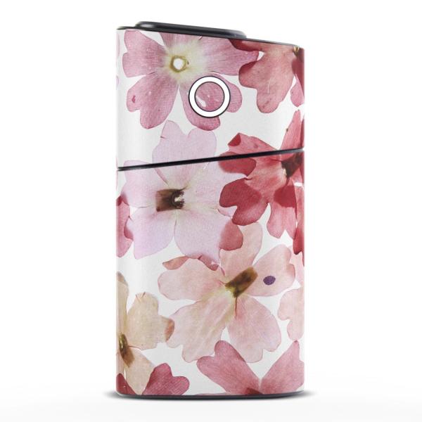 glo series2 �V���[�Y2 �O���[ �O���E ��p�X�L���V�[�� �S�� �V�� ��� 360°�t���Z�b�g �J�o�[ �P�[�X �ی�  �ԁ@�t�����[�@���� 011258