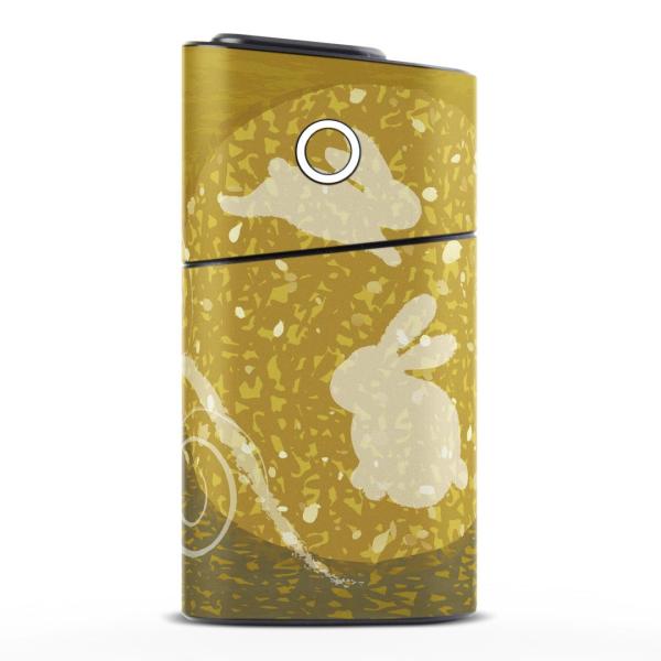 glo series2 V[Y2 O[ OE pXLV[ S V  360°tZbg Jo[ P[X ی  @@@F 014866