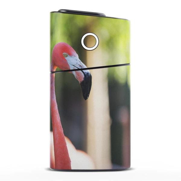 glo series2 V[Y2 O[ OE pXLV[ S V  360°tZbg Jo[ P[X ی  i@ʐ^@@t~S@ 014986