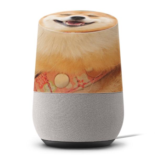 Google Home pXLV[ O[Oz[ X}[gXs[J[ Jo[ tB XebJ[ ANZT[  @Č 000926