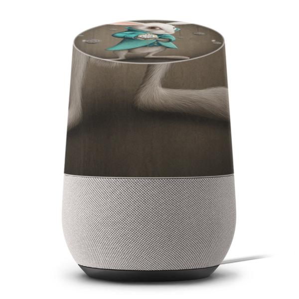 Google Home pXLV[ O[Oz[ X}[gXs[J[ Jo[ tB XebJ[ ANZT[  CXg@@e@AX@v 007895