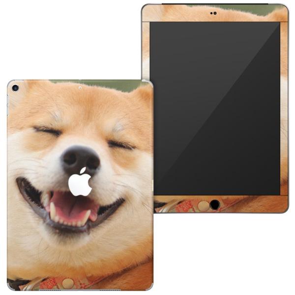 igsticker iPad6 6 2018 p apple Abv ACpbh A1893 A1954 SʃXLV[  @Č 000926