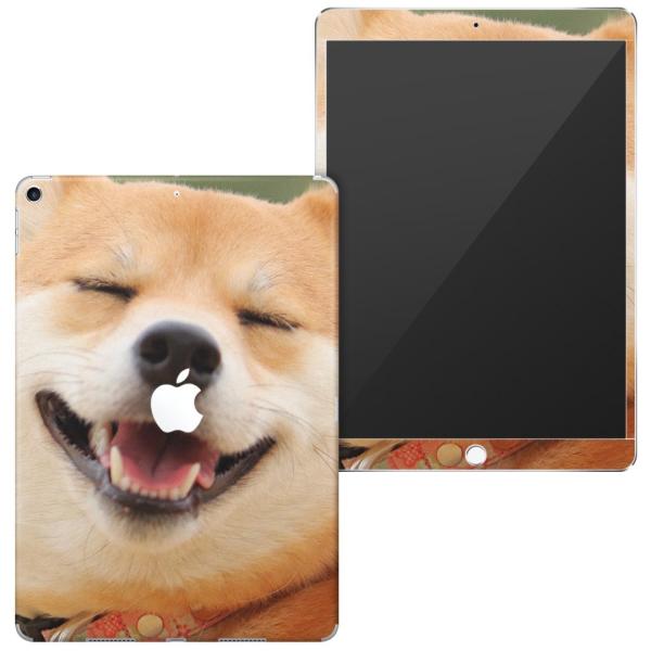uz֐pviPad Air 10.5 inch C` p apple 3 A2123 A2152 A2153 A2154 SʃXLV[ @Č 000926