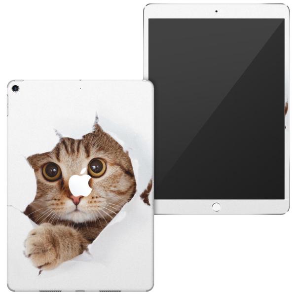 uz֐pviPad Air 10.5 inch C` p apple 3 A2123 A2152 A2153 A2154 SʃXLV[ L@@ʐ^ 002783