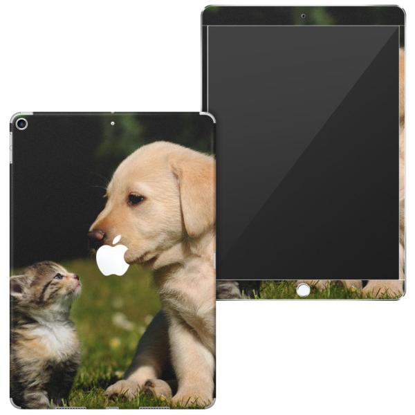 uz֐pviPad Air 10.5 inch C` p apple 3 A2123 A2152 A2153 A2154 SʃXLV[ @L@@ʐ^ 002794