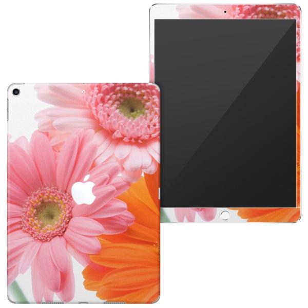 uz֐pviPad Air 10.5 inch C` p apple 3 A2123 A2152 A2153 A2154 SʃXLV[ ԁ@t[@ʐ^ 005378