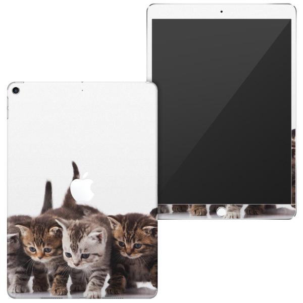 uz֐pviPad Air 10.5 inch C` p apple 3 A2123 A2152 A2153 A2154 SʃXLV[ ʐ^@@L@˂ 005928