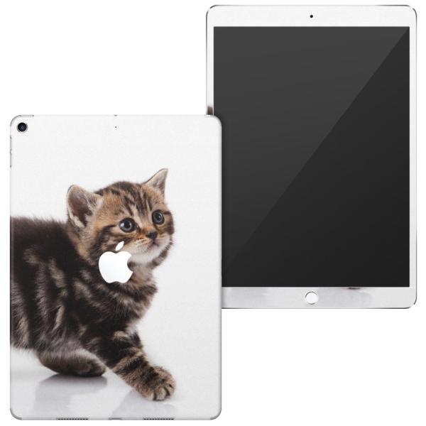 uz֐pviPad Air 10.5 inch C` p apple 3 A2123 A2152 A2153 A2154 SʃXLV[ ʐ^@@L@˂ 005930