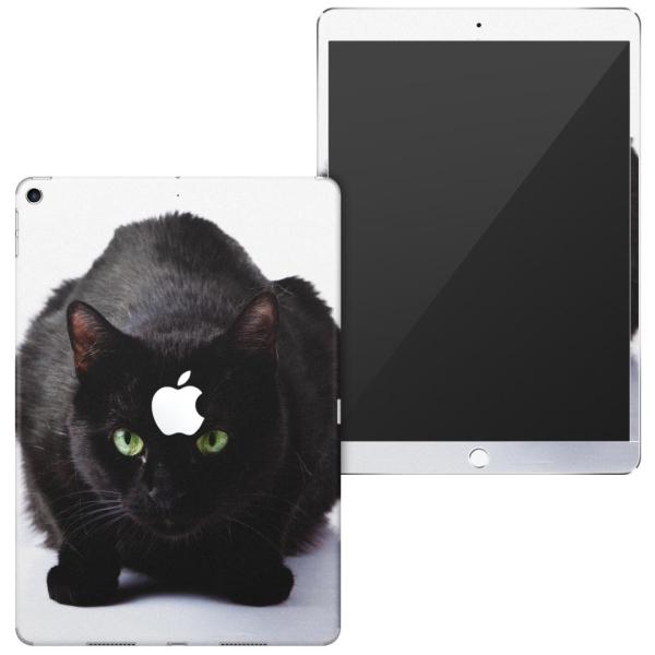 uz֐pviPad Air 10.5 inch C` p apple 3 A2123 A2152 A2153 A2154 SʃXLV[ ʐ^@@˂@L 005958