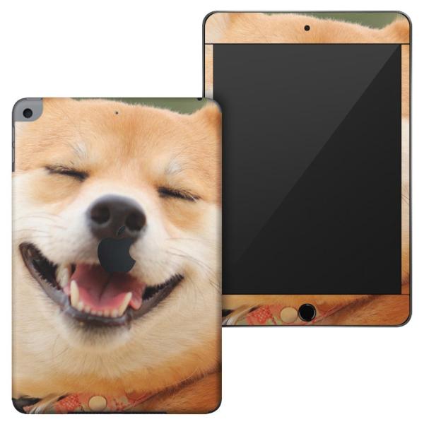 uz֐pviPadmini4 (2015)5(2019)p apple4A5 A1538 A1550 A2124 A2126 A2133 XLV[  @Č 000926