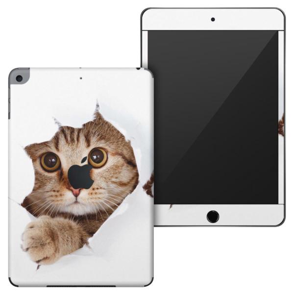 �u��z�֐�p�viPadmini4 (2015)5(2019)��p apple��4�A5���� A1538 A1550 A2124 A2126 A2133 �X�L���V�[��  �L�@�����@�ʐ^ 002783