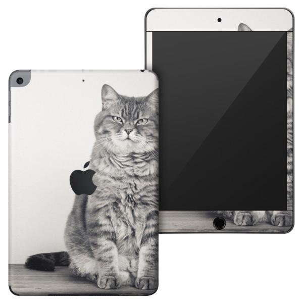 �u��z�֐�p�viPadmini4 (2015)5(2019)��p apple��4�A5���� A1538 A1550 A2124 A2126 A2133 �X�L���V�[��  �L�@�����@�ʐ^ 002901